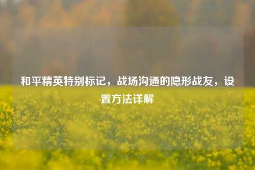 和平精英特别标记,战场沟通的隐形战友,设置方法详解