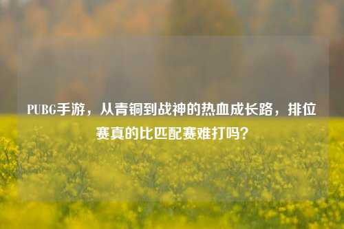PUBG手游,从青铜到战神的热血成长路,排位赛真的比匹配赛难打吗?