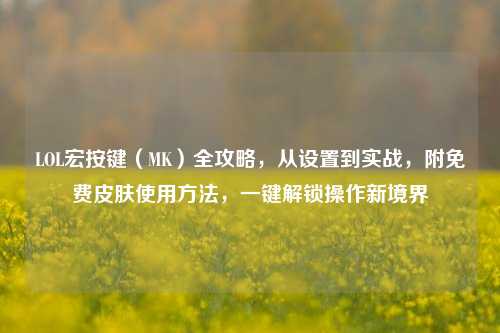 LOL宏按键(MK)全攻略,从设置到实战,附免费皮肤使用方法,一键解锁操作新境界