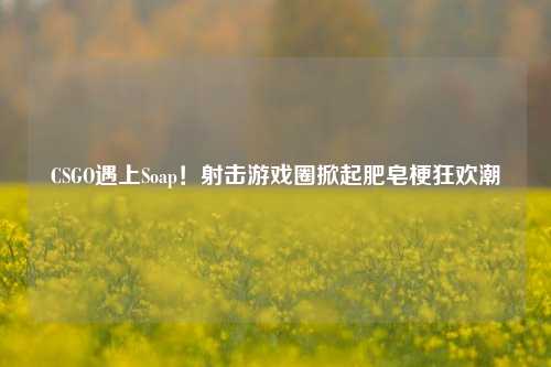 CSGO遇上Soap!射击游戏圈掀起肥皂梗狂欢潮