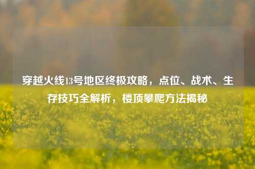 穿越火线13号地区终极攻略,点位、战术、生存技巧全解析,楼顶攀爬方法揭秘