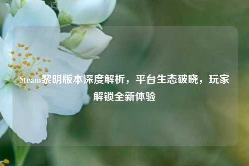Steam黎明版本深度解析,平台生态破晓,玩家解锁全新体验