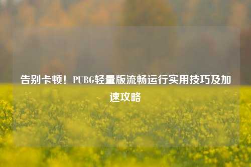 告别卡顿!PUBG轻量版流畅运行实用技巧及加速攻略
