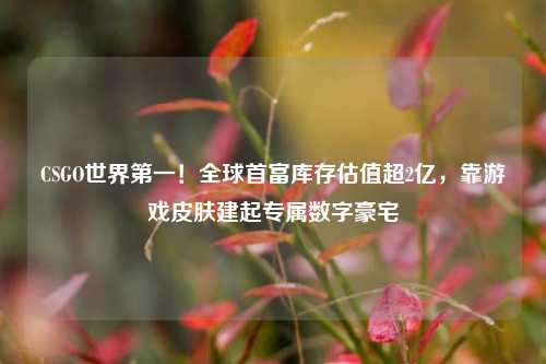 CSGO世界第一!全球首富库存估值超2亿,靠游戏皮肤建起专属数字豪宅
