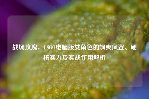 战场玫瑰，CSGO电脑版女角色的飒爽风姿、硬核实力及实战作用解析
