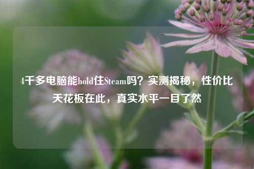 4千多电脑能hold住Steam吗?实测揭秘,性价比天花板在此,真实水平一目了然