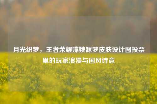月光织梦,王者荣耀嫦娥源梦皮肤设计图投票里的玩家浪漫与国风诗意