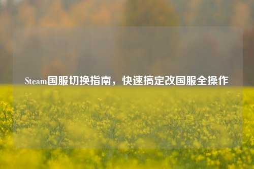 Steam国服切换指南,快速搞定改国服全操作