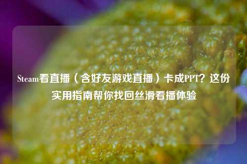 Steam看直播(含好友游戏直播)卡成PPT?这份实用指南帮你找回丝滑看播体验