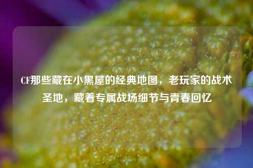 CF那些藏在小黑屋的经典地图，老玩家的战术圣地，藏着专属战场细节与青春回忆