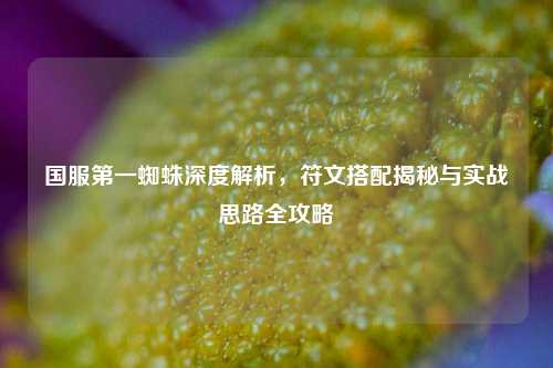 国服第一蜘蛛深度解析,符文搭配揭秘与实战思路全攻略