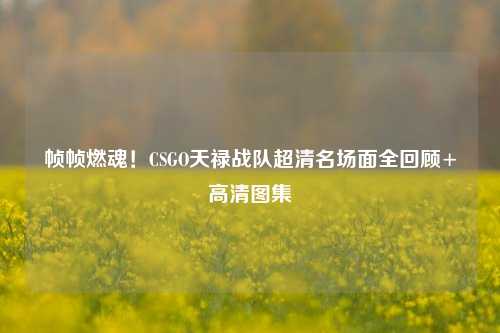 帧帧燃魂!CSGO天禄战队超清名场面全回顾+高清图集