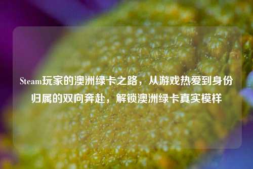 Steam玩家的澳洲绿卡之路,从游戏热爱到身份归属的双向奔赴,解锁澳洲绿卡真实模样
