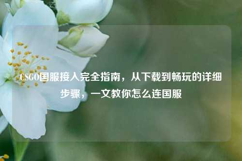 CSGO国服接入完全指南,从下载到畅玩的详细步骤,一文教你怎么连国服