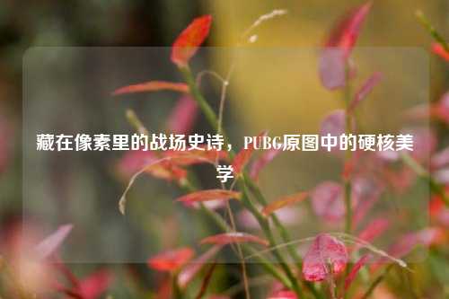 藏在像素里的战场史诗,PUBG原图中的硬核美学