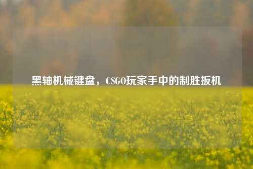黑轴机械键盘，CSGO玩家手中的制胜扳机