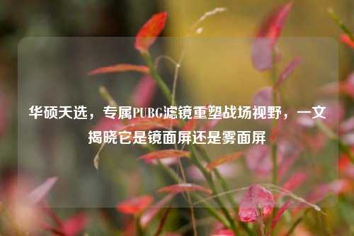 华硕天选,专属PUBG滤镜重塑战场视野,一文揭晓它是镜面屏还是雾面屏