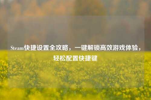 Steam快捷设置全攻略,一键解锁高效游戏体验,轻松配置快捷键