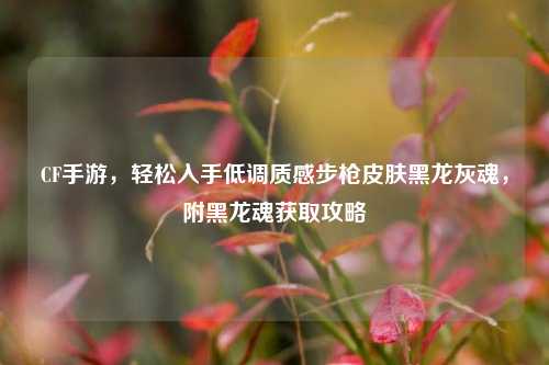 CF手游,轻松入手低调质感步枪皮肤黑龙灰魂,附黑龙魂获取攻略