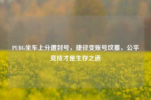 PUBG坐车上分遭封号,捷径变账号坟墓,公平竞技才是生存之道