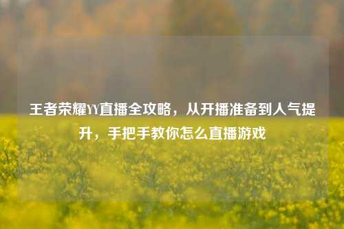 王者荣耀YY直播全攻略,从开播准备到人气提升,手把手教你怎么直播游戏