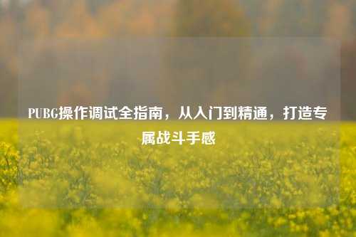 PUBG操作调试全指南，从入门到精通，打造专属战斗手感