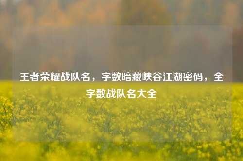 王者荣耀战队名，字数暗藏峡谷江湖密码，全字数战队名大全