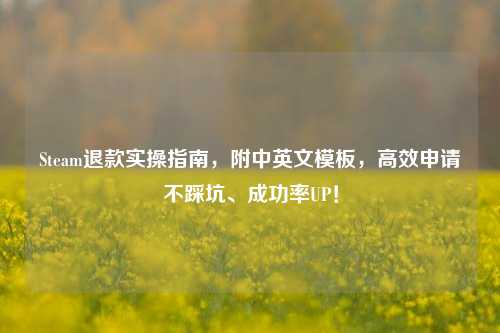 Steam退款实操指南，附中英文模板，高效申请不踩坑、成功率UP！