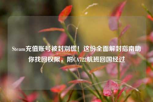 Steam充值账号被封别慌!这份全面解封指南助你找回权限,附CA722航班回国经过