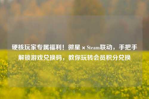 硬核玩家专属福利！微星×Steam联动，手把手解锁游戏兑换码，教你玩转会员积分兑换