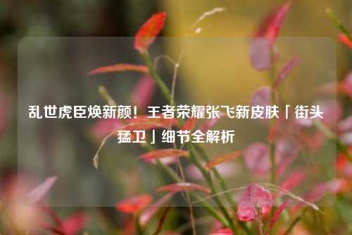 乱世虎臣焕新颜!王者荣耀张飞新皮肤「街头猛卫」细节全解析