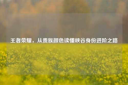 王者荣耀，从贵族颜色读懂峡谷身份进阶之路