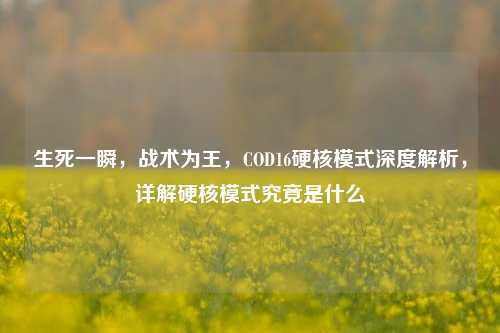 生死一瞬,战术为王,COD16硬核模式深度解析,详解硬核模式究竟是什么