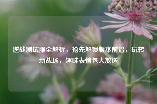 逆战测试服全解析，抢先解锁版本前沿，玩转新战场，趣味表情包大放送