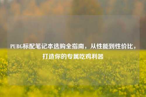 PUBG标配笔记本选购全指南，从性能到性价比，打造你的专属吃鸡利器