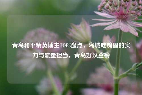 青岛和平精英博主TOP5盘点,岛城吃鸡圈的实力与流量担当,青岛好汉登榜