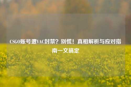 CSGO账号遭VAC封禁?别慌!真相解析与应对指南一文搞定
