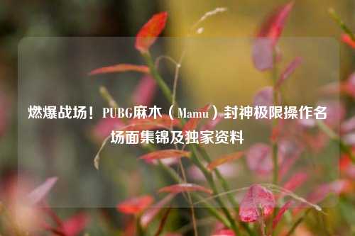 燃爆战场!PUBG麻木(Mamu)封神极限操作名场面集锦及独家资料