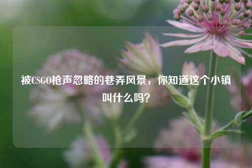 被CSGO枪声忽略的巷弄风景,你知道这个小镇叫什么吗?
