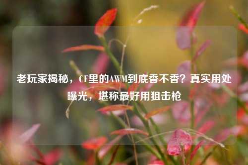老玩家揭秘，CF里的AWM到底香不香？真实用处曝光，堪称最好用狙击枪