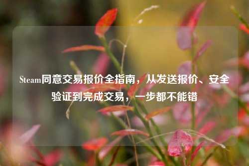 Steam同意交易报价全指南,从发送报价、安全验证到完成交易,一步都不能错