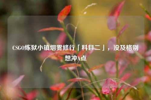 CSGO炼狱小镇烟雾修行「科目二」,没及格别想冲A点