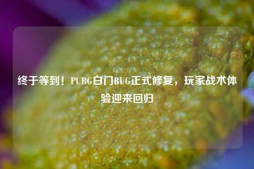终于等到!PUBG白门BUG正式修复,玩家战术体验迎来回归