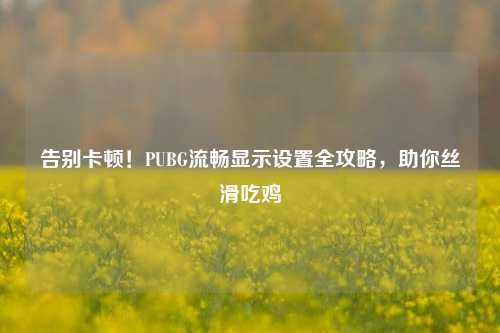 告别卡顿!PUBG流畅显示设置全攻略,助你丝滑吃鸡