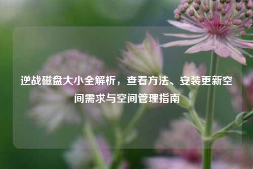 逆战磁盘大小全解析,查看方法、安装更新空间需求与空间管理指南