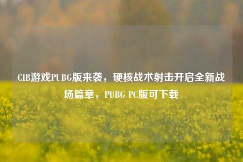 CIB游戏PUBG版来袭,硬核战术射击开启全新战场篇章,PUBG PC版可下载