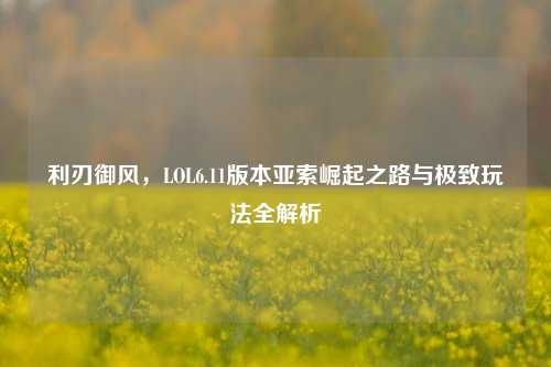 利刃御风,LOL6.11版本亚索崛起之路与极致玩法全解析