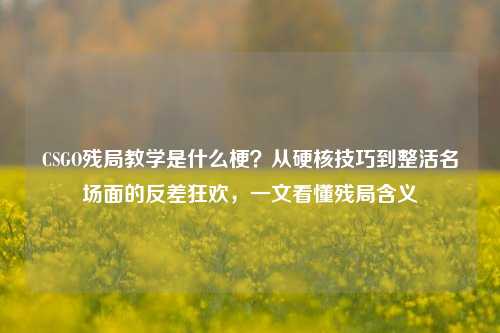CSGO残局教学是什么梗?从硬核技巧到整活名场面的反差狂欢,一文看懂残局含义