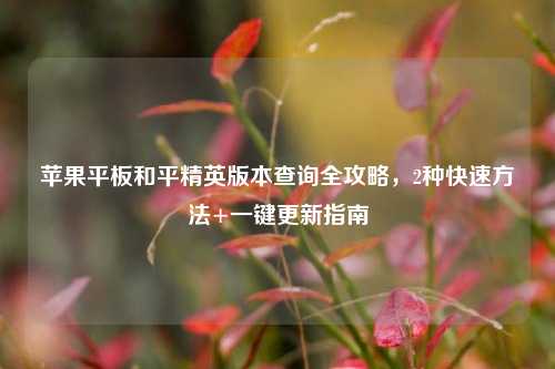 苹果平板和平精英版本查询全攻略,2种快速方法+一键更新指南