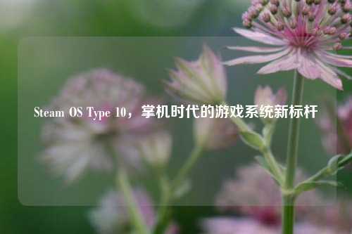 Steam OS Type 10，掌机时代的游戏系统新标杆